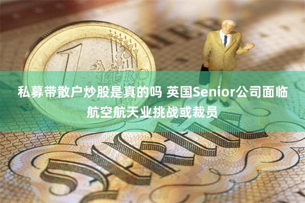 私募带散户炒股是真的吗 英国Senior公司面临航空航天业挑战或裁员