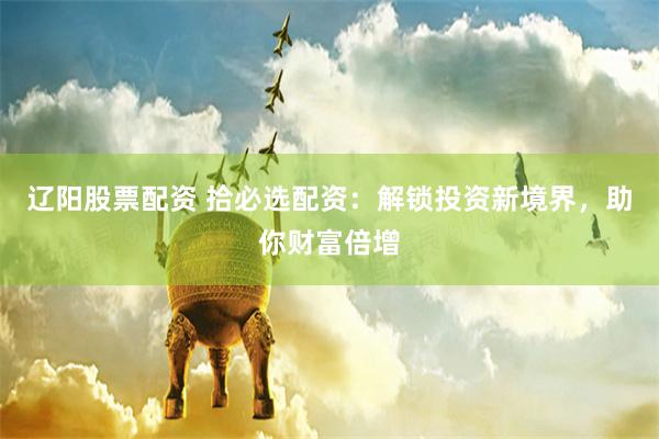 辽阳股票配资 拾必选配资:解锁投资新境界,助你财富倍增