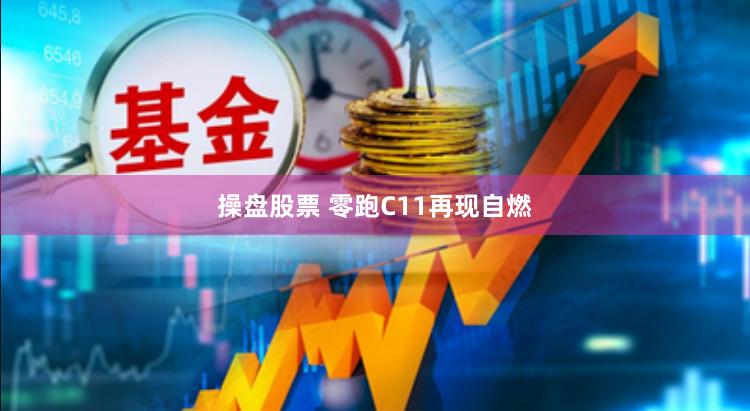 操盘股票 零跑C11再现自燃