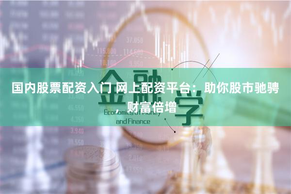 国内股票配资入门 网上配资平台：助你股市驰骋，财富倍增